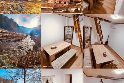 Cabana rustica la munte - 2