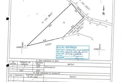 Teren de 2500 mp, în Viișoara - 2