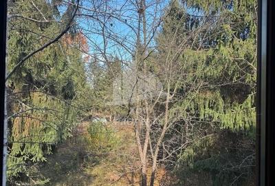 Pensiune/ Vila Valea Avrigului - 18