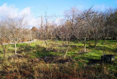 Casă cu 5 camere în Albești - 8