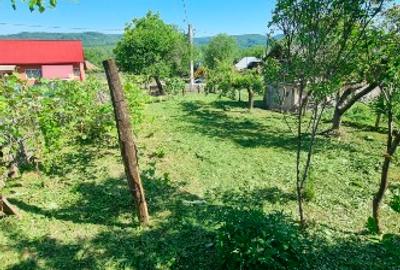 Casă individuală cu 5 camere cu Teren 15000 Mp în Dosu Râului - 4