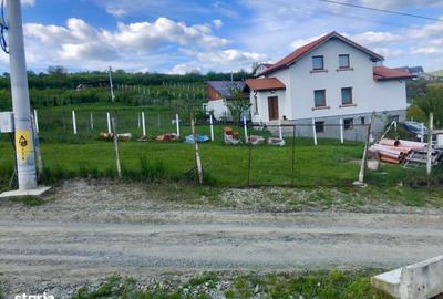 Spațiu comercial, în Șura Mare - 3