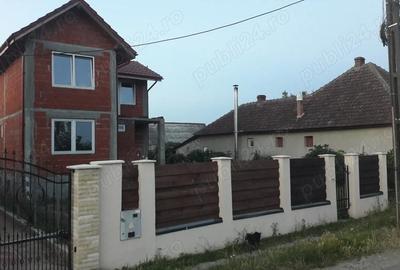Casă cu 3 camere cu Teren 1501 Mp în Micula - 6