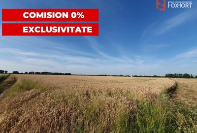 COMISION 0% Teren de vanzare intravilan de 24.700 mp - Padureni - 12