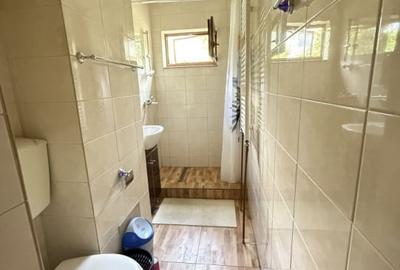 2 camere,Sagului-Poienitei, Semimobilat,Centrala proprie - 3