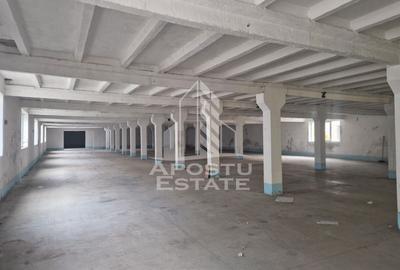 Hala de depozitare,productie ,birouri,zona Sud-Vest - 3