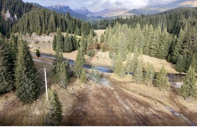 Teren intravilan de 5000 mp, în Moroeni - 6