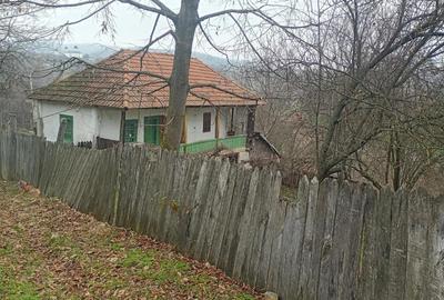 Casă cu Teren 500 Mp în Bala - 2