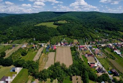 Spațiu comercial, în Zigoneni - 6