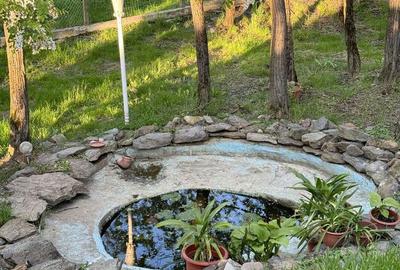 Casă cu 4 camere cu Teren 750 Mp în Gavojdia - 13