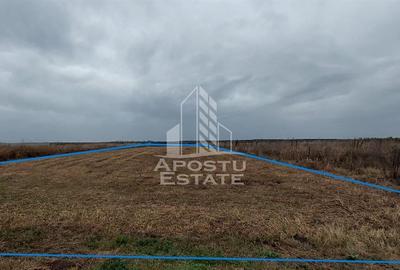 Teren Zadareni proiect spalatorie auto/spatii comerciale - 6