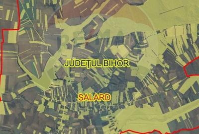 Teren de 15618 mp, în Sălard - 4