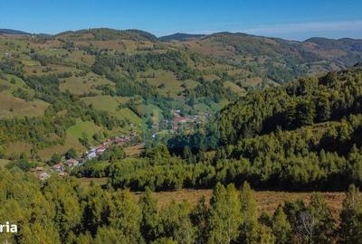 Teren de 1000 mp, în Băișoara - 3