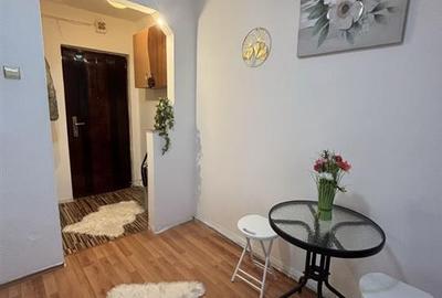 Garsonieră semidecomandată, mobilată în Vasile Aaron - 8