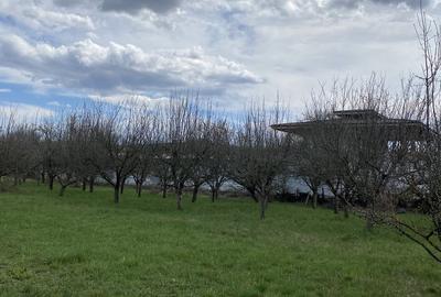 Teren în Pruni - 8