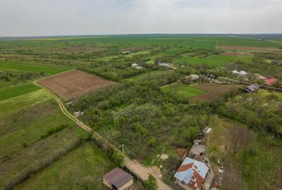 LETCA NOUA, TEREN CONSTRUCTII 1184 MP, FRONT 21 M ! - 6