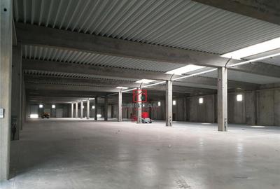 Spațiu comercial, de 1,200 mp, în Chitila - 18