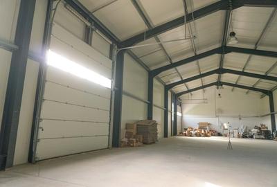 Spațiu industrial, de 1,093 mp, în Odăile - 7