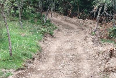 Teren de 30000 mp, în Cornereva - 9
