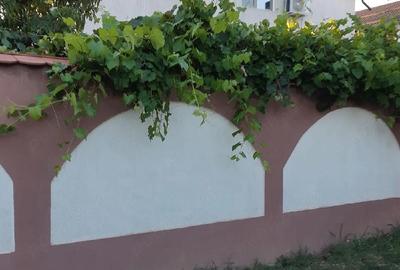 Casă cu Teren 500 Mp în Dragomirești-Vale - 9