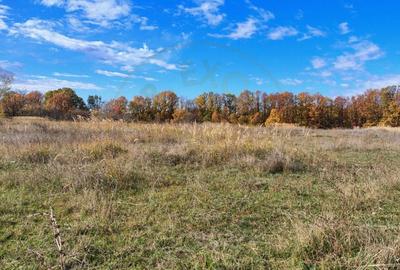 Terenuri intrevilane Comuna Mosoaia - 7