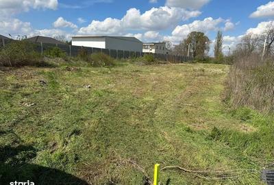 Spațiu comercial, în Șag - 6