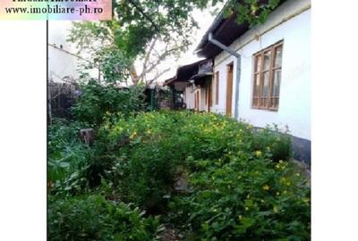 Casă individuală cu 7 camere cu Canalizare în Traian - 1