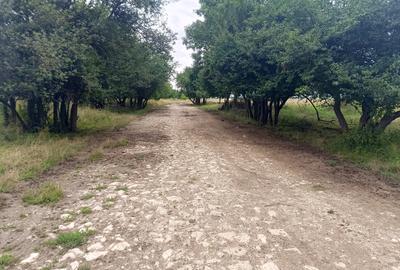 De vanzare - Teren intravilan pentru constructii – 16.500 mp / 0% comision - 7