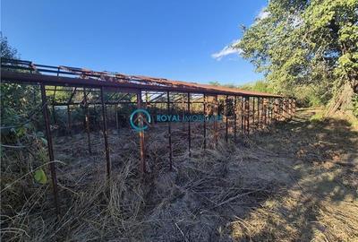 Royal Imobiliare - Vanzare Vila Zona Paulesti - Gageni - 44