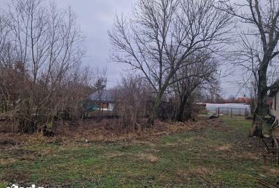 Casă cu 3 camere cu Teren 1800 Mp în Satulung - 14