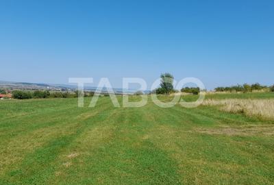 Teren 2400 mp cu deschidere 18 m in Orlat oportunitate investitii - 2