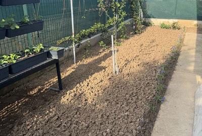 Casă cu 4 camere cu Teren 500 Mp în Fundeni - 1