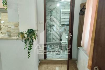 Apartament la curte, 1 camera, centrala proprie, zona Fratelia - 8
