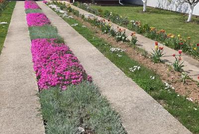 Casa + teren de vanzare - 3