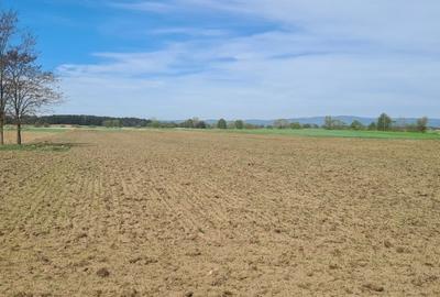 TEREN AGRICOL EXTRAVILAN - RECI - COVASNA - 2