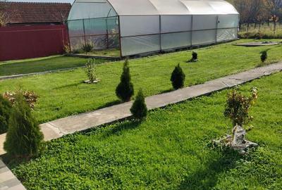 Casă cu 4 camere cu Teren 1200 Mp în Obreja - 7