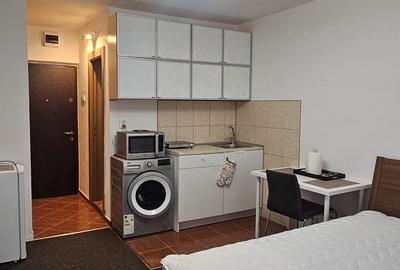 Garsonieră decomandată, mobilată în Dristor - 9