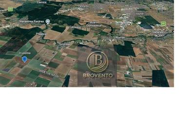 Spațiu comercial, în Lilieci - 1