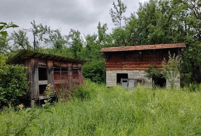 Teren de 18645 mp, în Sântămăria de Piatră - 11