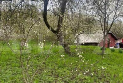 Teren de 784 mp, în Nistorești - 5