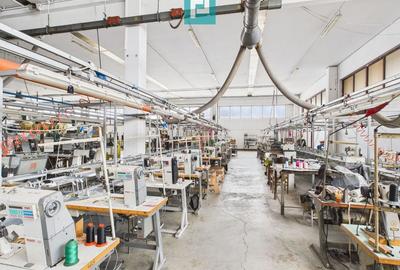 Hală de producție, cu birouri și teren, în Sebiș - 4