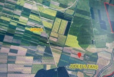 Teren de 10000 mp, în Giroc