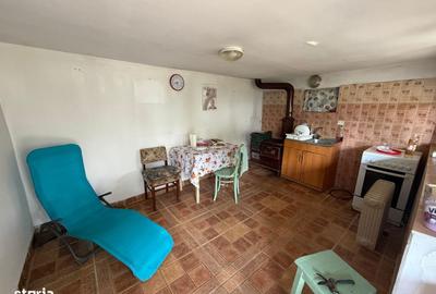 Casă cu 3 camere cu Teren 3753 Mp în Cornățelu - 7