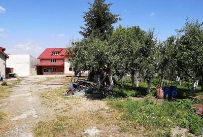 Casă cu 8 camere cu Teren 2450 Mp în Central - 1