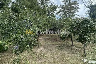 Casă cu 2 camere cu Teren 1172 Mp în Lunca
