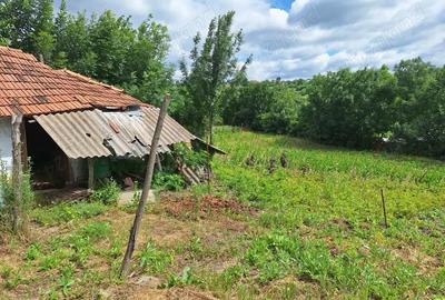 Casă cu 3 camere în Tanacu - 2