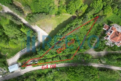 Teren Construcții intravilan de 1262 mp, în Luncani - 1