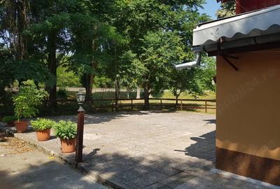 Spațiu comercial, de 240 mp, în Caransebeș - 2