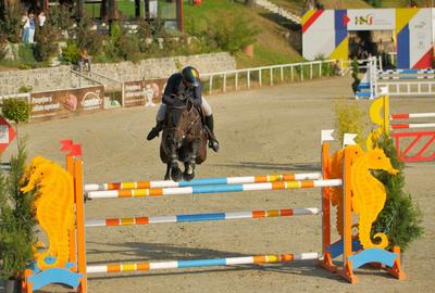 Proprietate specială, de 1,537,099 mp, în Herneacova - 20