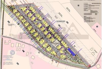 Teren cu PUZ aprobat - Colonia Sopor - Ansamblu reglementat - 4